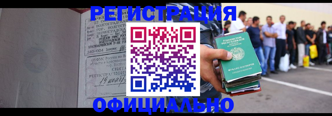прописка поиск в Шумихе